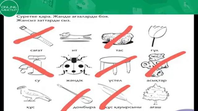 Рыспембетова Бақыт "Өсімдіктер-тірі ағзалар" смотреть онлайн