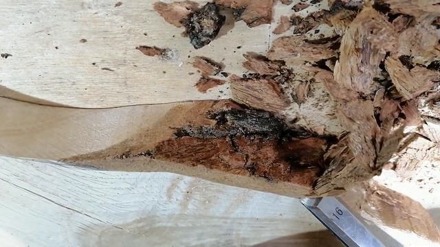 ЭКСКЛЮЗИВНАЯ РАЗДЕЛОЧНАЯ ДОСКА ИЗ ГОРБЫЛЯ смотреть онлайн