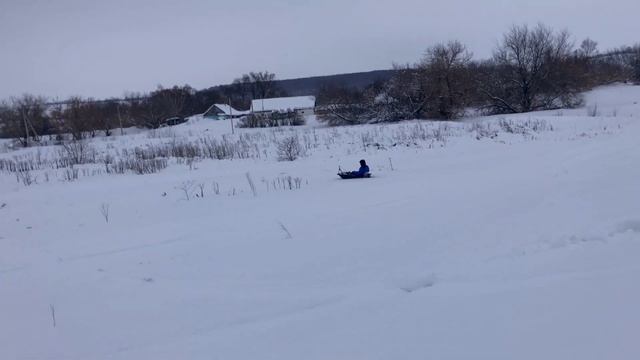 Сани самоеды смотреть онлайн