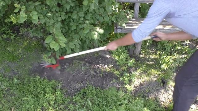 НАШЛИ СОРНЯК-ВЕЛИКАН НА УЧАСТКЕ! смотреть онлайн