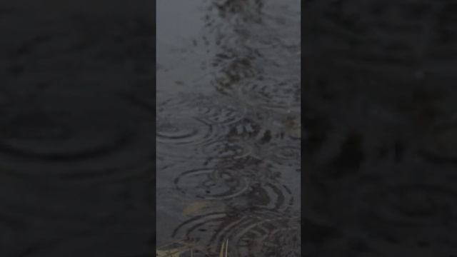 Пошли в кино смотреть онлайн