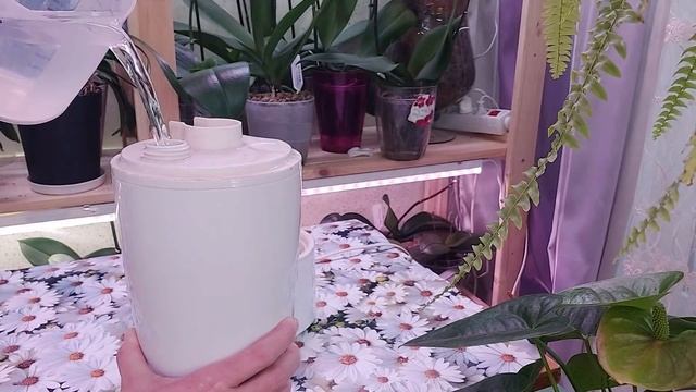 Стеллажи! Лампы! Увлажнитель воздуха! смотреть онлайн