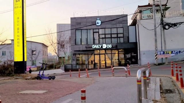 ??НАШИ БУДНИ/Белая уха из красной рыбы/Салон для собак/#KOREAVLOG #KOREALIFE #3diyakorea смотреть онлайн
