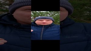 Структура человека- как работает