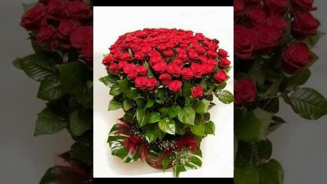 Сорамагыз сез яшен. Лилия Биктимирова хэм Фадис Ганиев дуэты. Искиткеч матур жыр. Official смотреть онлайн