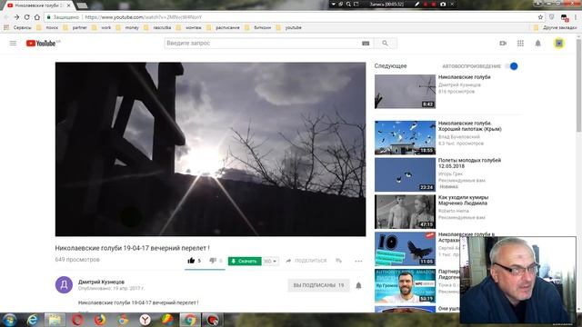 Круговые голуби и безкружные к каким относятся николаевские голуби смотреть онлайн