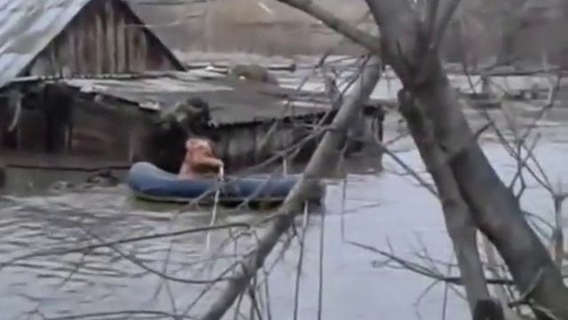 С. Огни, Усть-Калманский район, март 2018 смотреть онлайн