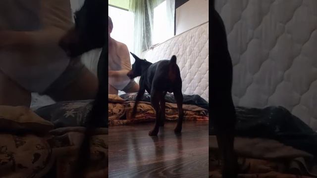 Делаем кувырок ??♀️