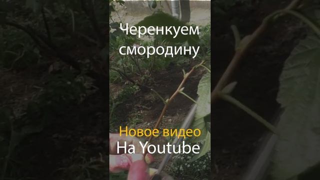 Stories для Instagram сделано в After Effects и Sony Vegas. Портфолио смотреть онлайн