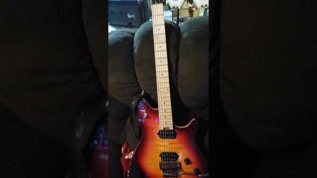 Fender 