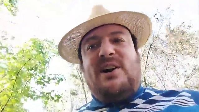 DERROTAREMOS A LA CONSTITUCIÓN DE LOS CUICOS COBARDES смотреть онлайн