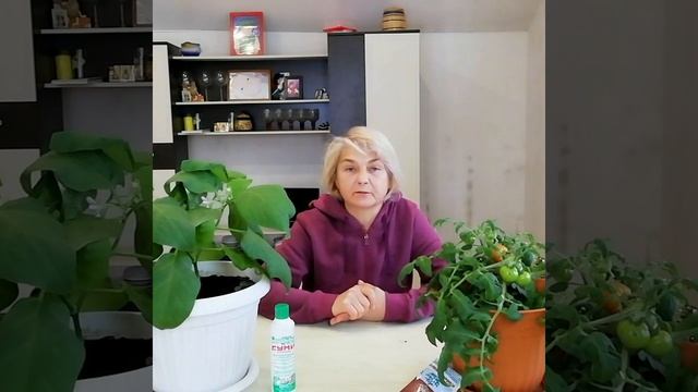 Сорт "Калифорнийский гигант Юсуповой" удивит вас. Очень сладкие и вкусные смотреть онлайн