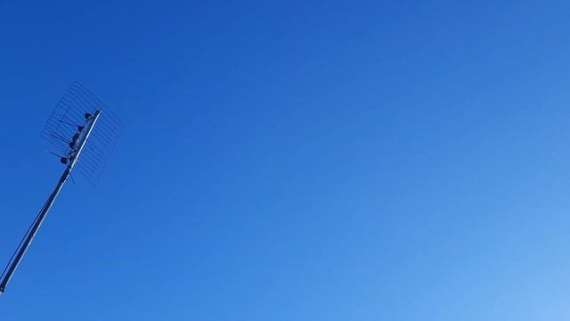 Пермские высоколётные голуби 23.10.2023. смотреть онлайн