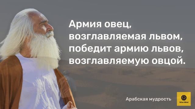 Арабская мудрость: цитаты и афоризмы. Арабские пословицы и поговорки со смыслом смотреть онлайн