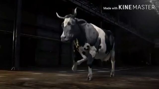 Шаршама тек шаршама 😂😂😂😂