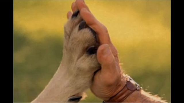 Тестирование грустных историй от Джеффа