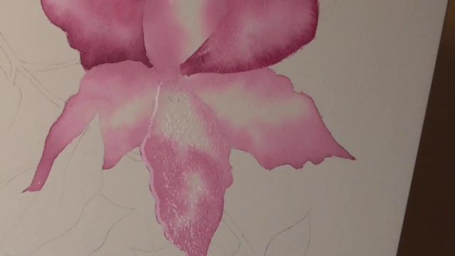 Watercolour Clematis Simple смотреть онлайн