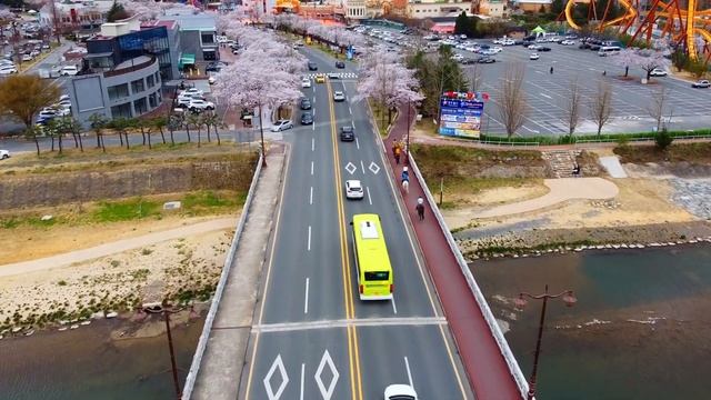 Почему в Японии общественные туалеты сделали прозрачными? смотреть онлайн