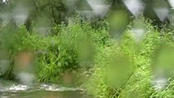 дебри реки патрушиха