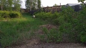 хатсан страйкер эйдж отстрел на пробитие.