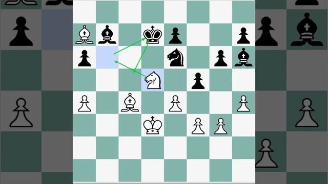 Tactics puzzle #3 смотреть онлайн