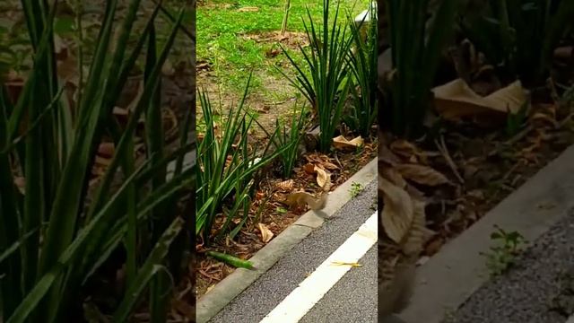 ??️ #бангкок #таиланд #bangkok смотреть онлайн