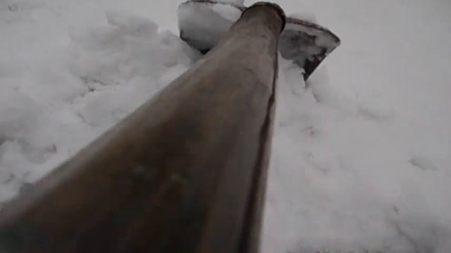 МАТЬ САМВЕЛА ВЫБРОСИЛА СОБАКУ.GRANDENIKO ПОКУПАЕТ КВАРТИРУ