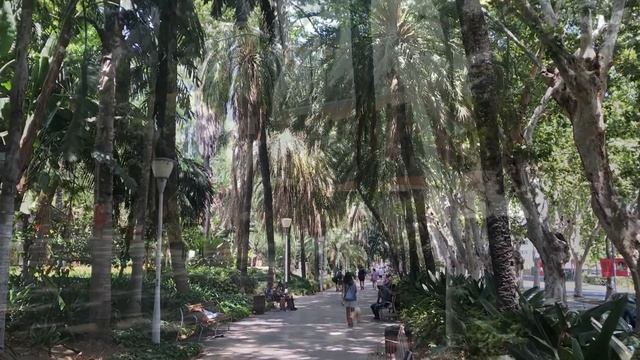 Творческие Проекты