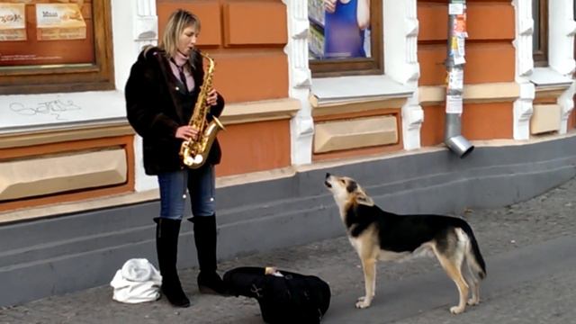 Бесплатный концерт! смотреть онлайн