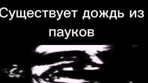 Ты услышал этот факт-13(Мистер Исключительный жуткие лица)