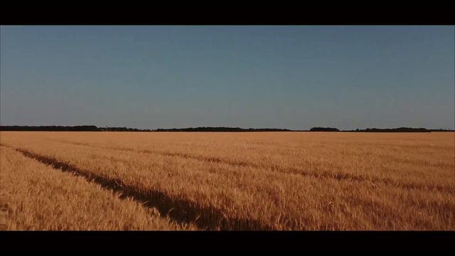Київ 🇺🇦 смотреть онлайн