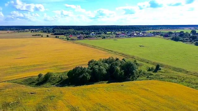 Поля Ленобласти глазами Дрона смотреть онлайн