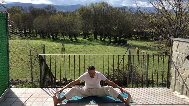 Sesión de Yoga con Ganesha - Activando los cinco elementos смотреть онлайн