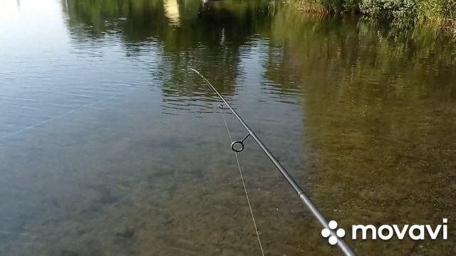 огромные Карпы клюют один за другим.это Медвежка ?детка смотреть онлайн