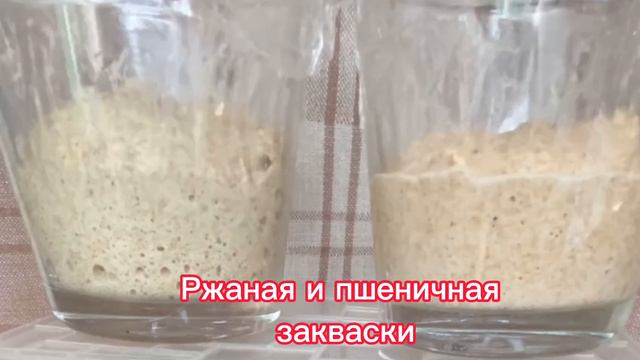 Как по разному растет закваска #закваска #здоровье