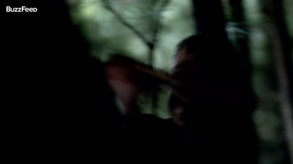 TVD Comic Con 2015 Video