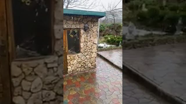 А ЕЙ, ТАКАЯ ЗИМА НРАВИТСЯ! КОШКА, ШОРТС, #екатеринаснытко #сад #цветы смотреть онлайн
