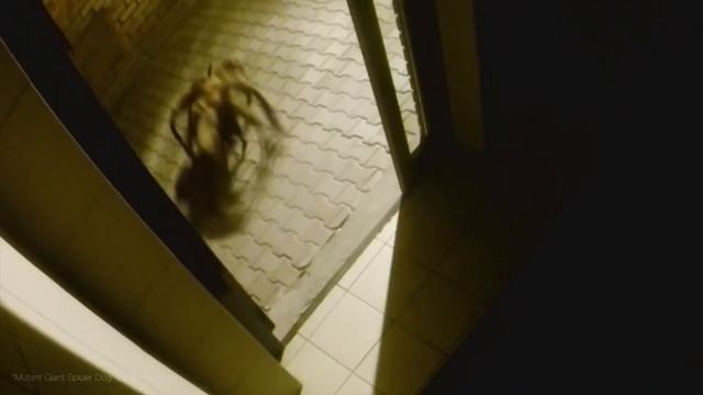 ТОП5 СТРАШНЫХ ЖИВОТНЫХ