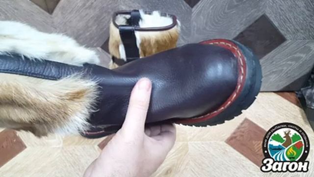 Сапоги монгольские женские двусторонняя собака смотреть онлайн
