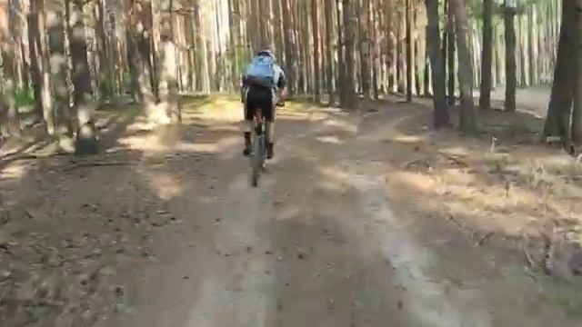 Песчаная дорога в бору. смотреть онлайн