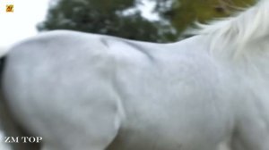 ADIK - Magical (Original Mix)