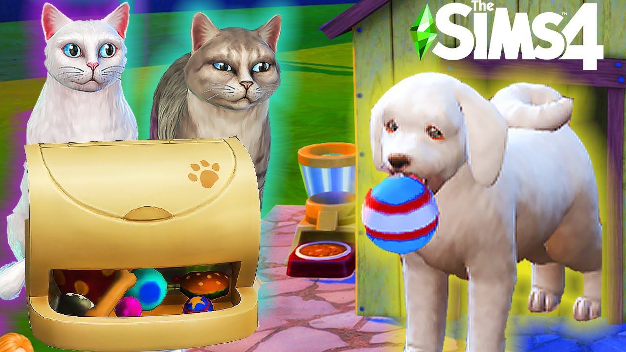 The Sims 4 БЕЗДОМНАЯ СОБАЧКА - НОВЫЙ ПИТОМЕЦ? смотреть онлайн
