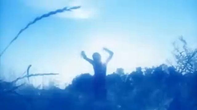 Shmely - Woman-Bird / ШМели - Женщина-Птица смотреть онлайн