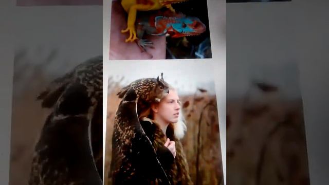 Пой песни если знаешь их и смотри разные картинки🎵🎶🎼🎹. смотреть онлайн