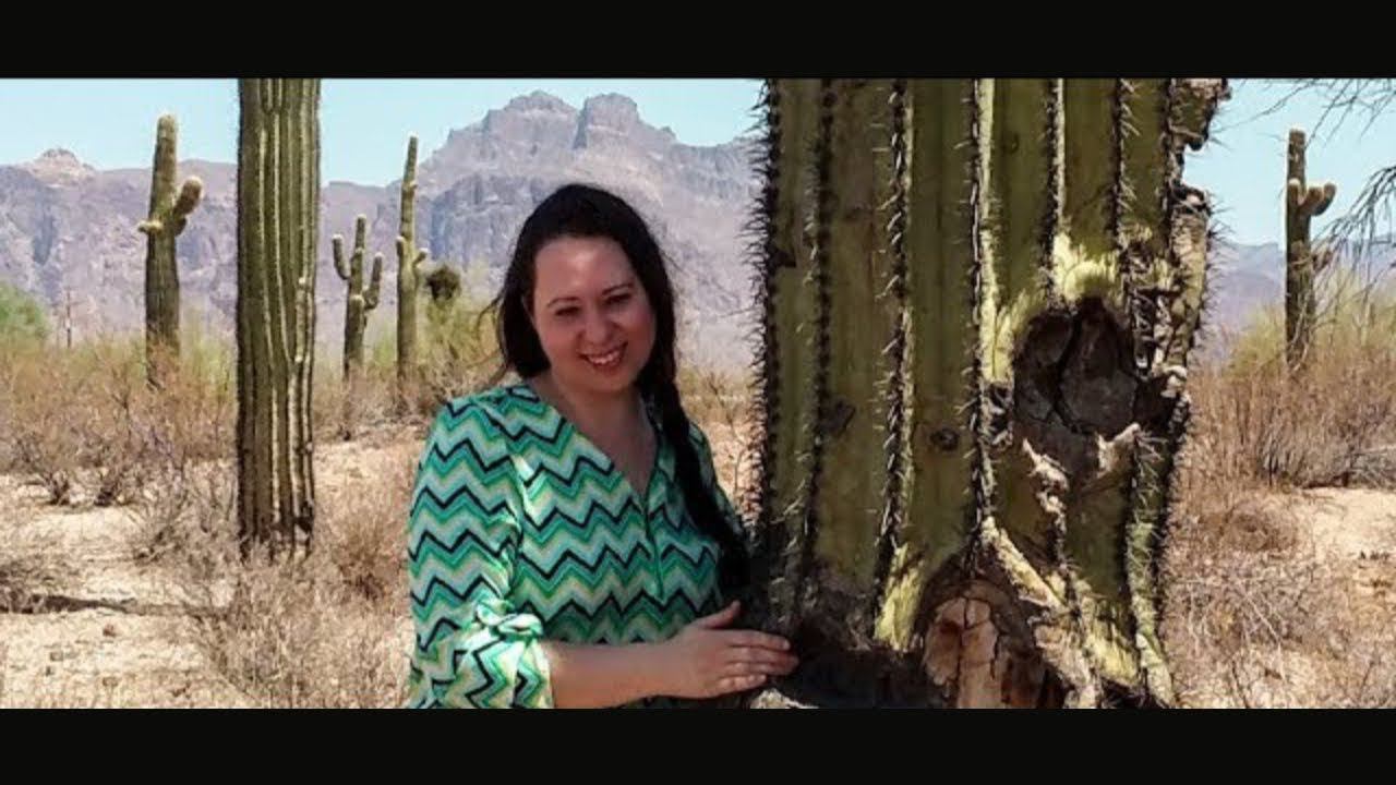 Пустыня Аризоны/Мужской монастырь/Последний день в Аризоне #88 смотреть онлайн