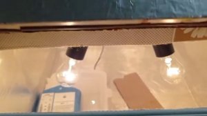 ?Самый простой инкубатор из пенопласта