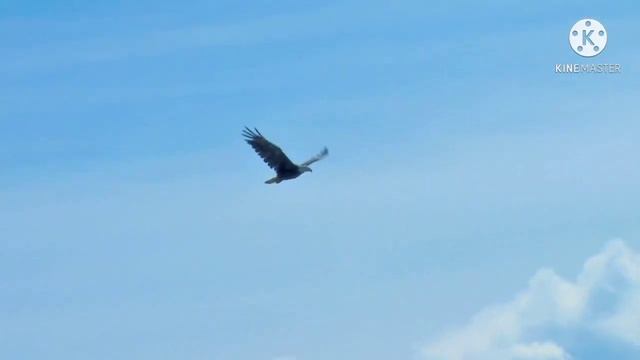 ОЧЕНЬ КРАСИВЫЙ СТИХ О НАШЕЙ ЖИЗНИ Л.Гапеева смотреть онлайн