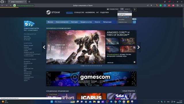 Исправить код ошибки e87 в Steam при входе в аккаунт смотреть онлайн