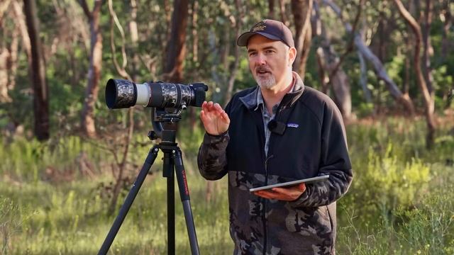 Canon R7 Review // Fair Dinkum Wildlife Camera Or Dog's Breakfast?