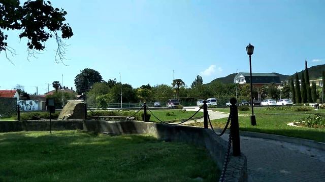 Тюльпановое дерево. Головинка 2020. Большой Сочи, курорты Краснодарского края. смотреть онлайн